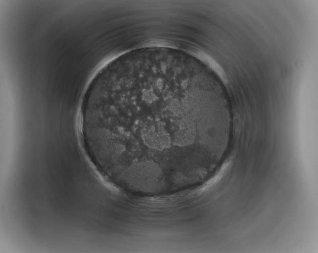 X0000116121125200911231210