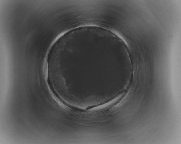 X0000116121127200911231210