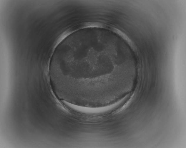 X0000116121129200911231210