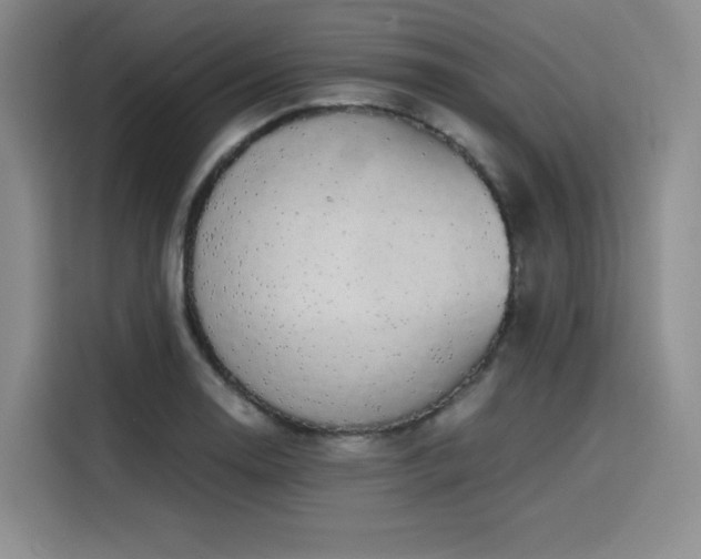 X0000116121130200911231210