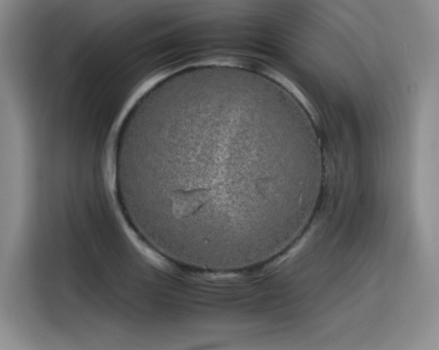 X0000116121131200911231210