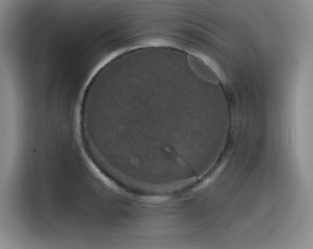 X0000116121134200911231210