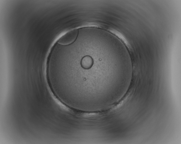 X0000116121135200911231210