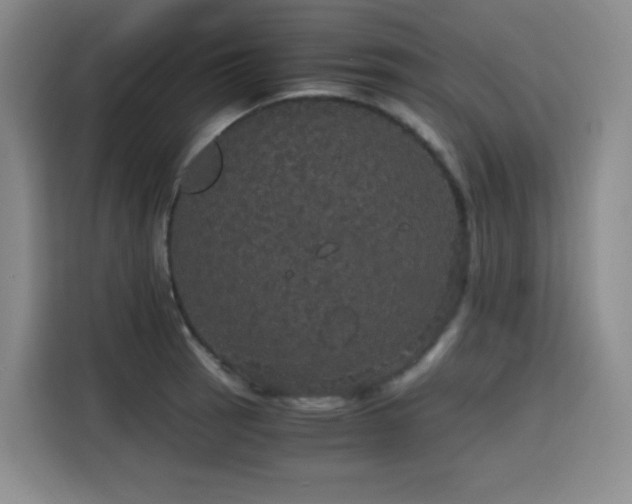 X0000116121137200911231210