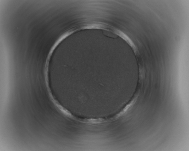 X0000116121138200911231210