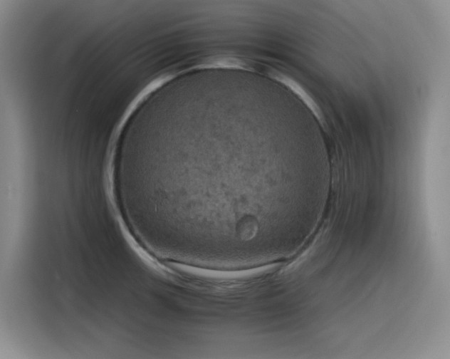 X0000116121139200911231210