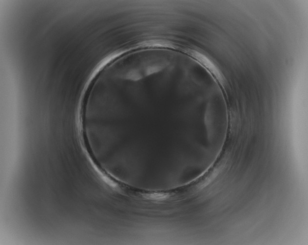 X0000116121141200911231210