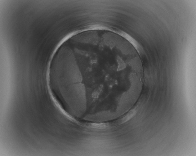 X0000116121142200911231210