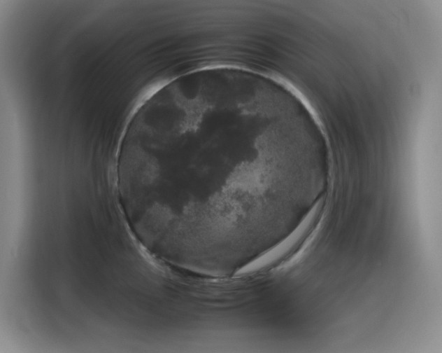 X0000116121145200911231210