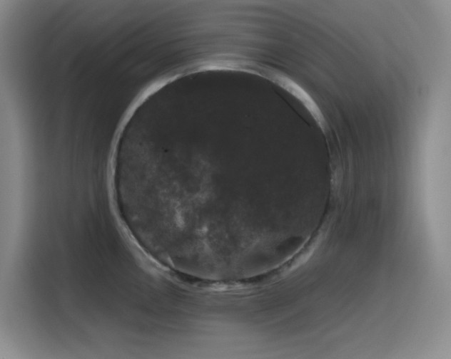 X0000116121146200911231210