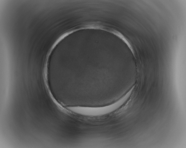 X0000116121147200911231210