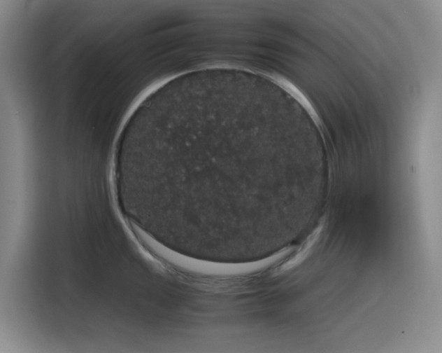 X0000116121149200911231210