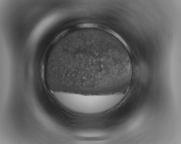 X0000116121151200911231210