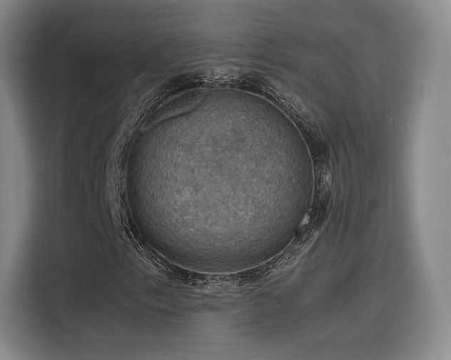 X0000116121153200911231209