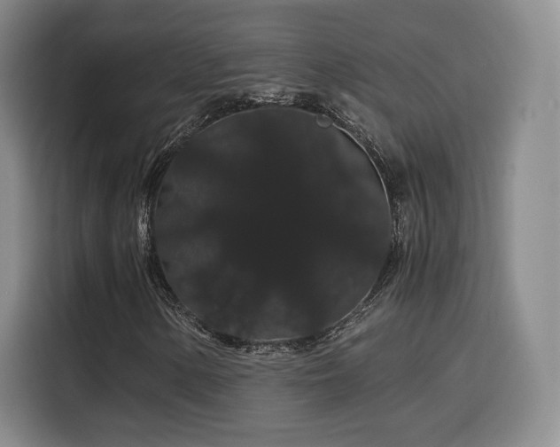 X0000116121154200911231209