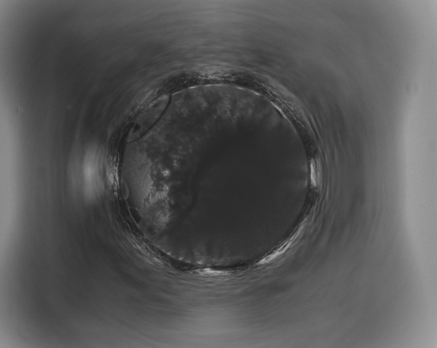 X0000116121155200911231209