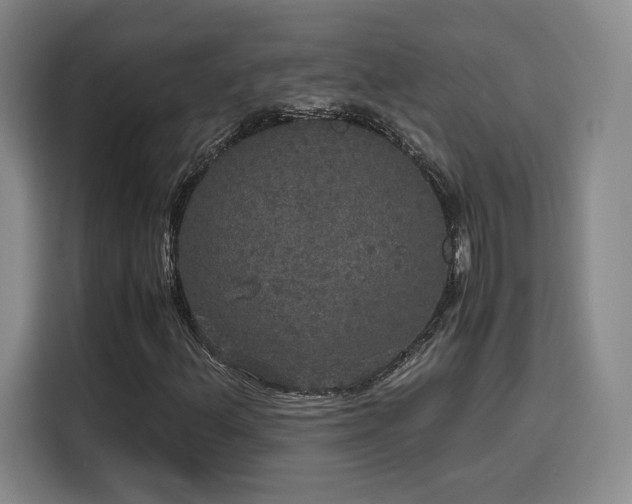 X0000116121156200911231209