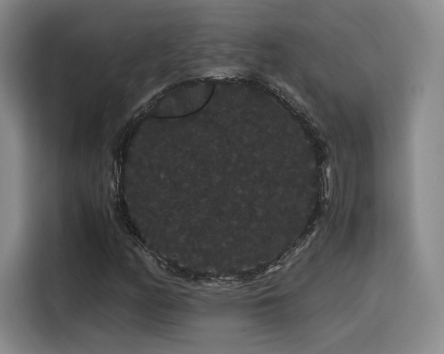 X0000116121158200911231209