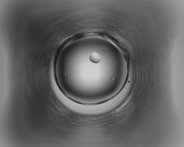 X0000116121161200911231209