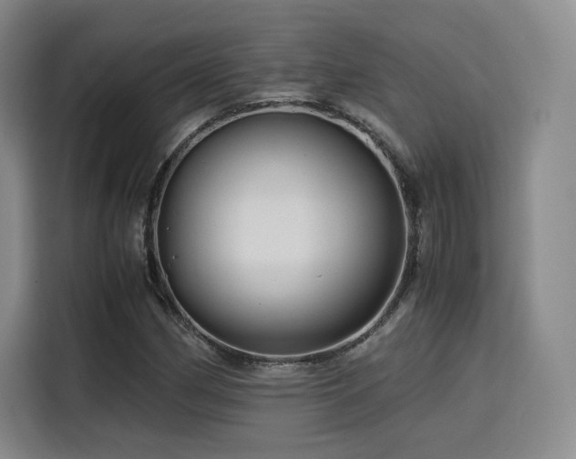 X0000116121162200911231209