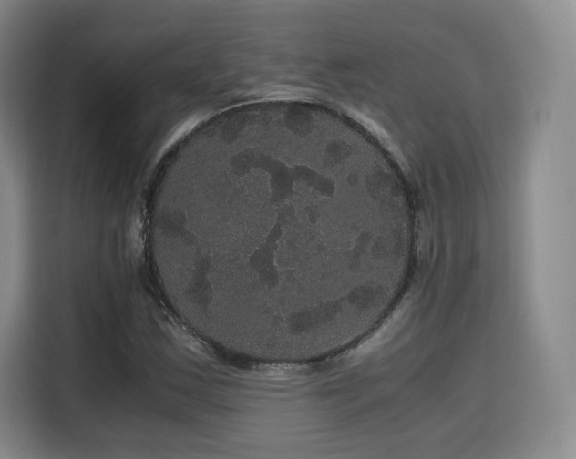 X0000116121163200911231209