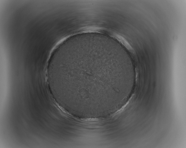 X0000116121164200911231209