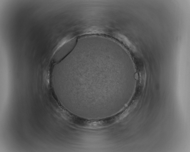 X0000116121165200911231209