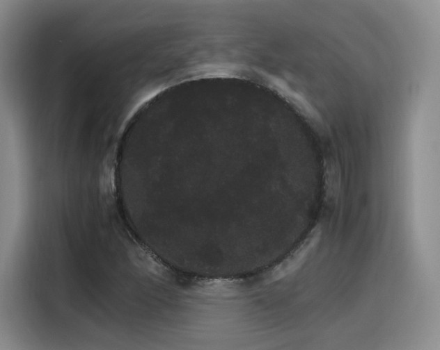 X0000116121166200911231209