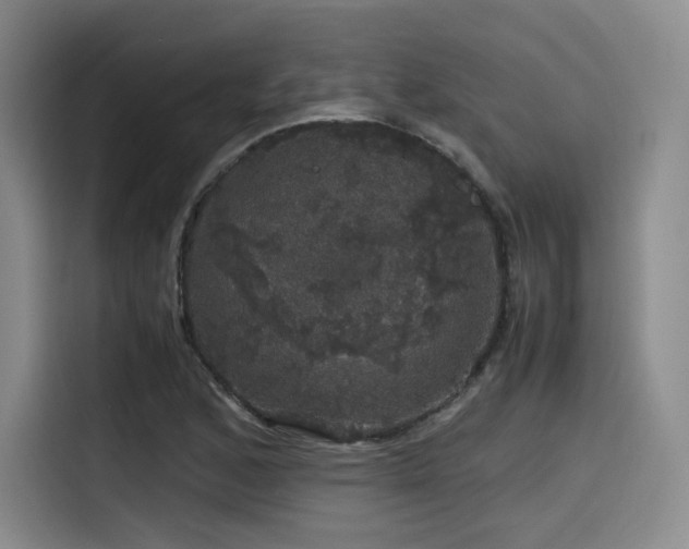 X0000116121168200911231209