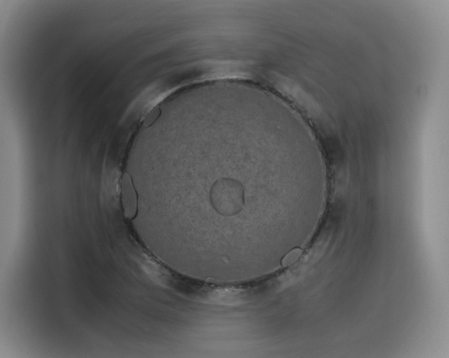 X0000116121169200911231209