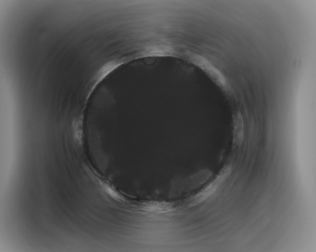 X0000116121170200911231209