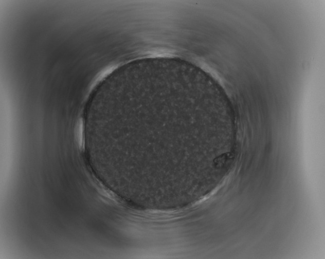 X0000116121171200911231209