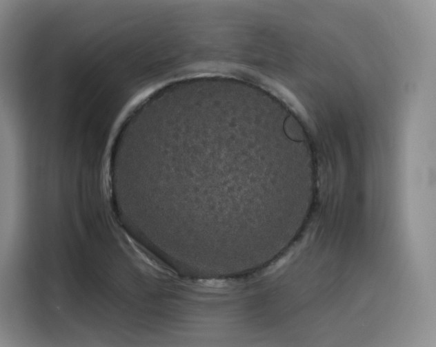 X0000116121172200911231209