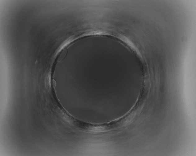 X0000116121173200911231209