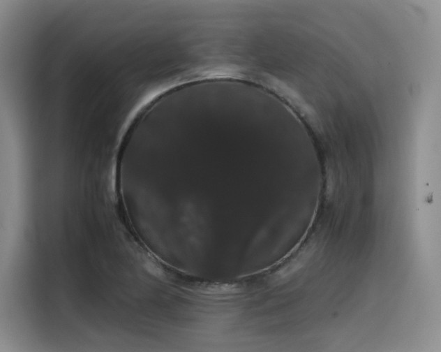 X0000116121174200911231209