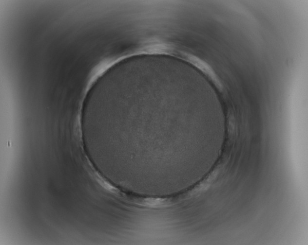 X0000116121176200911231209