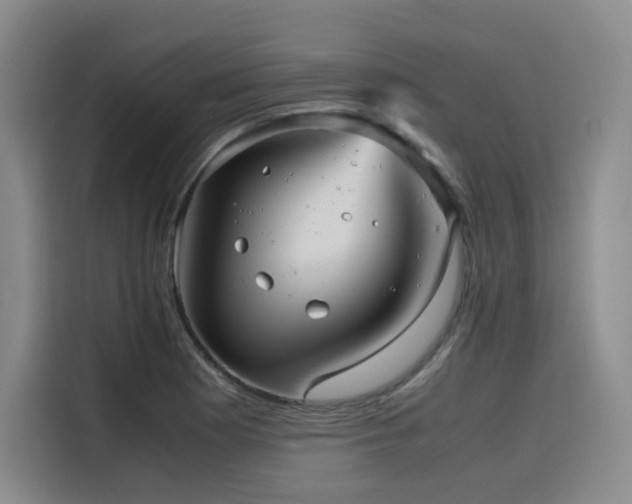 X0000116121177200911231209