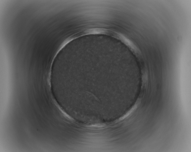 X0000116121178200911231209