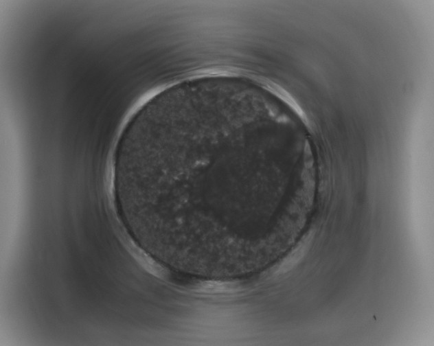 X0000116121179200911231209