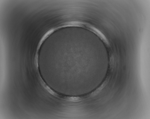 X0000116121180200911231209