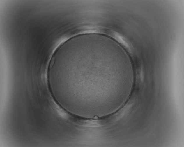 X0000116121181200911231209