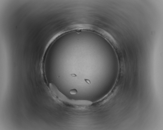 X0000116121182200911231209