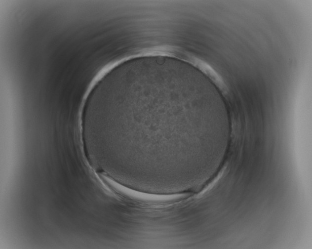 X0000116121184200911231209