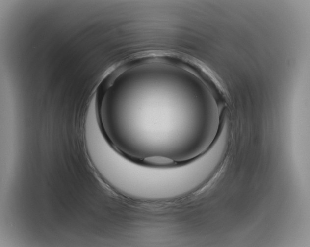 X0000116121185200911231209