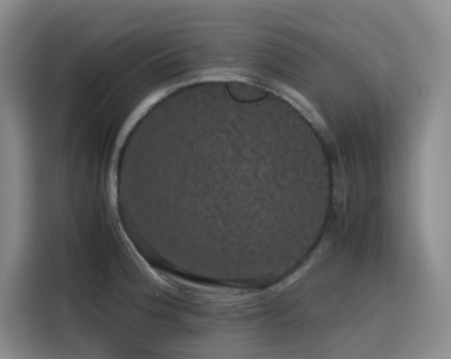 X0000116121188200911231209