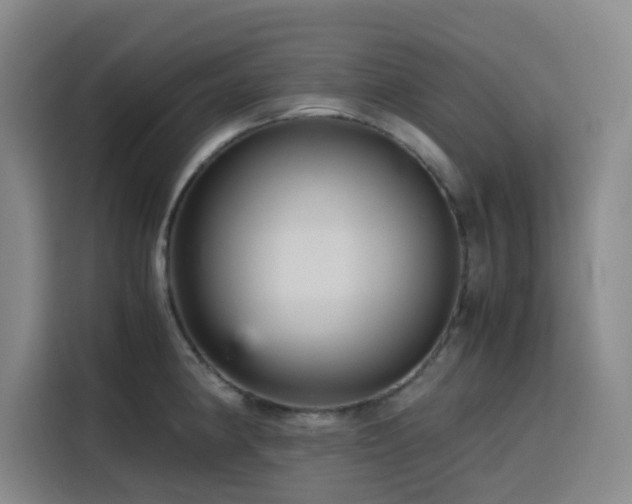 X0000116121190200911231209