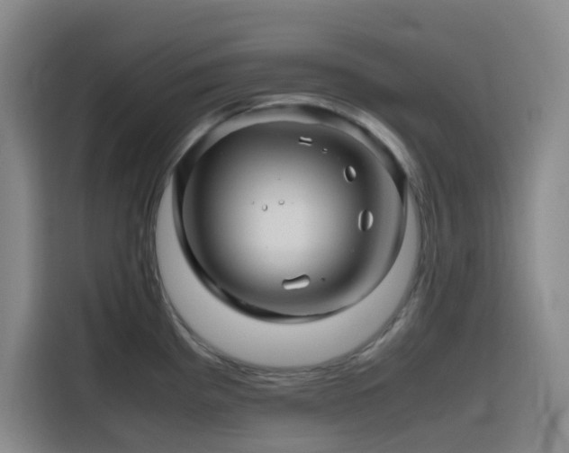 X0000116121193200911231209