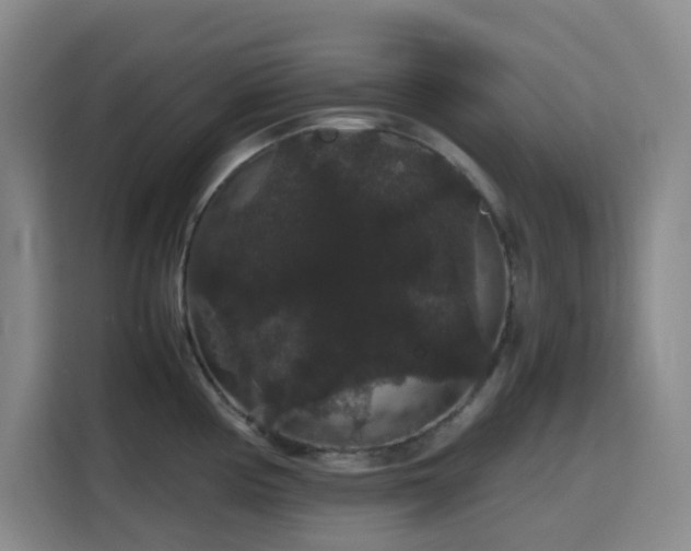 X0000116121194200911231209