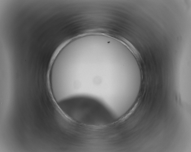 X0000116121196200911231209