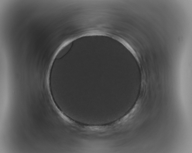 X0000116121197200911231209